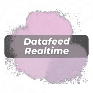 AgenaTick Realtime Data <br> (Lenz&Partner)